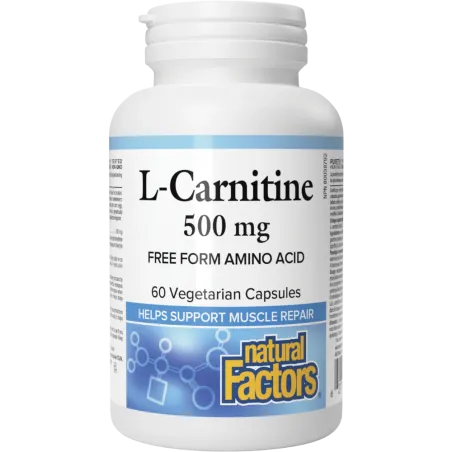 Natural Factors L-Carnitine 500 mg 60 Vegetable Capsules | Unbeatable Prices, Daily Deals | VITASHOP