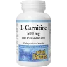 Natural Factors L-카르니틴 500 mg 60 식물성 캡슐 | 매일 업데이트되는 특가 상품 | VITASHOP