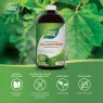 Nature's Way Chlorofresh® 내추럴 474 mL | 최고의 가격, 매일 제공되는 할인 | VITASHOP