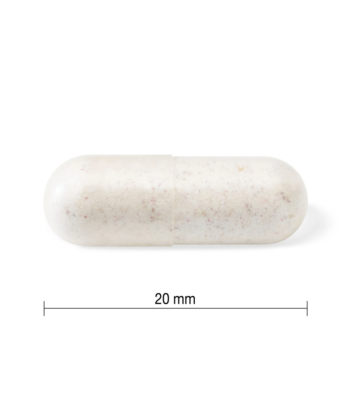 Jamieson Probiotic 10 Billion 60 Capsules | Unbeatable Prices, Daily Deals | VITASHOP