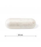 Jamieson Probiotic 10 Billion 60 Capsules | Unbeatable Prices, Daily Deals | VITASHOP