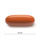 Prenatal Complete 60 Softgels | Safest & Easiest Shopping Vitamins Online | VITASHOP