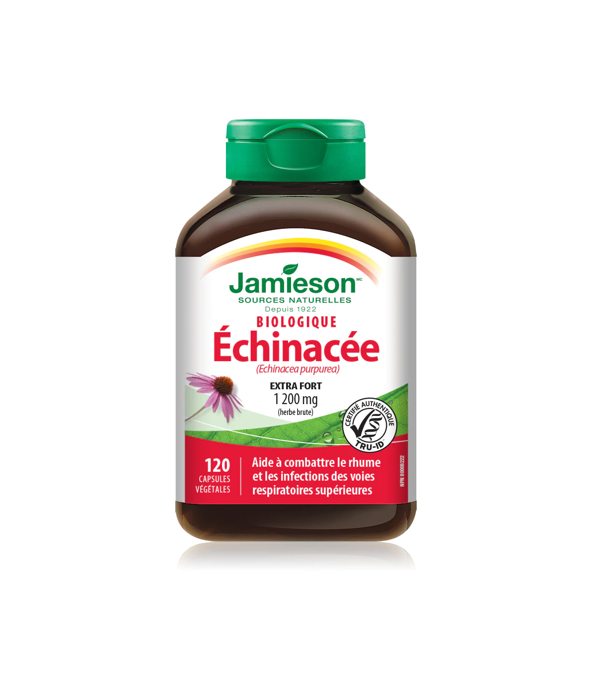 Jamieson Organic Echinacea (Echinacea purpurea) 1,200 mg 120 Capsules | Unbeatable Prices, Daily Deals | VITASHOP