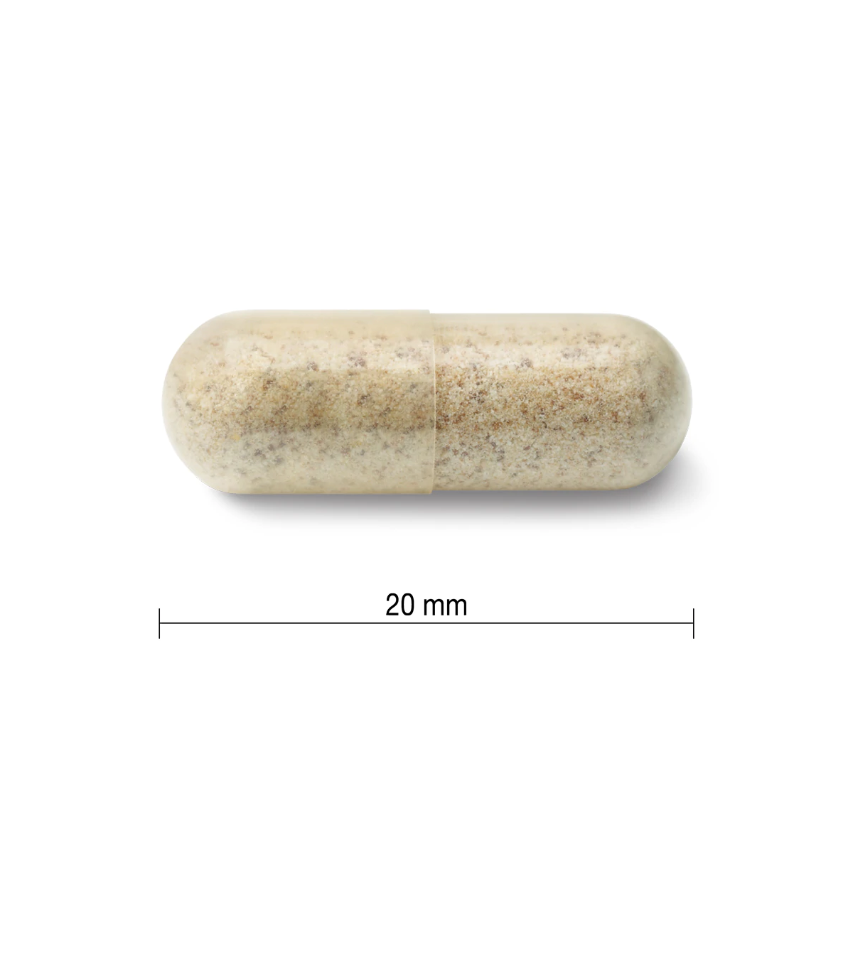 Jamieson Organic Echinacea (Echinacea purpurea) 1,200 mg 120 Capsules | Unbeatable Prices, Daily Deals | VITASHOP