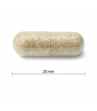 Jamieson Organic Echinacea (Echinacea purpurea) 1,200 mg 120 Capsules | Unbeatable Prices, Daily Deals | VITASHOP