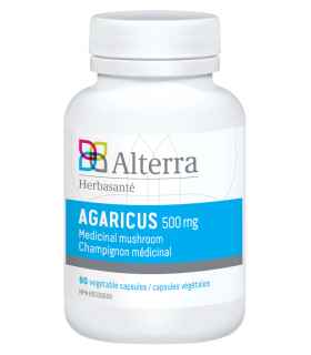 Agaricus 500 mg 90 Capsules | Safest & Easiest Shopping Vitamins Online | VITASHOP