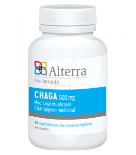 Chaga 500 mg 90 Capsules | Safest & Easiest Shopping Vitamins Online | VITASHOP