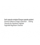 Chaga 500 mg 90 Capsules | Safest & Easiest Shopping Vitamins Online | VITASHOP