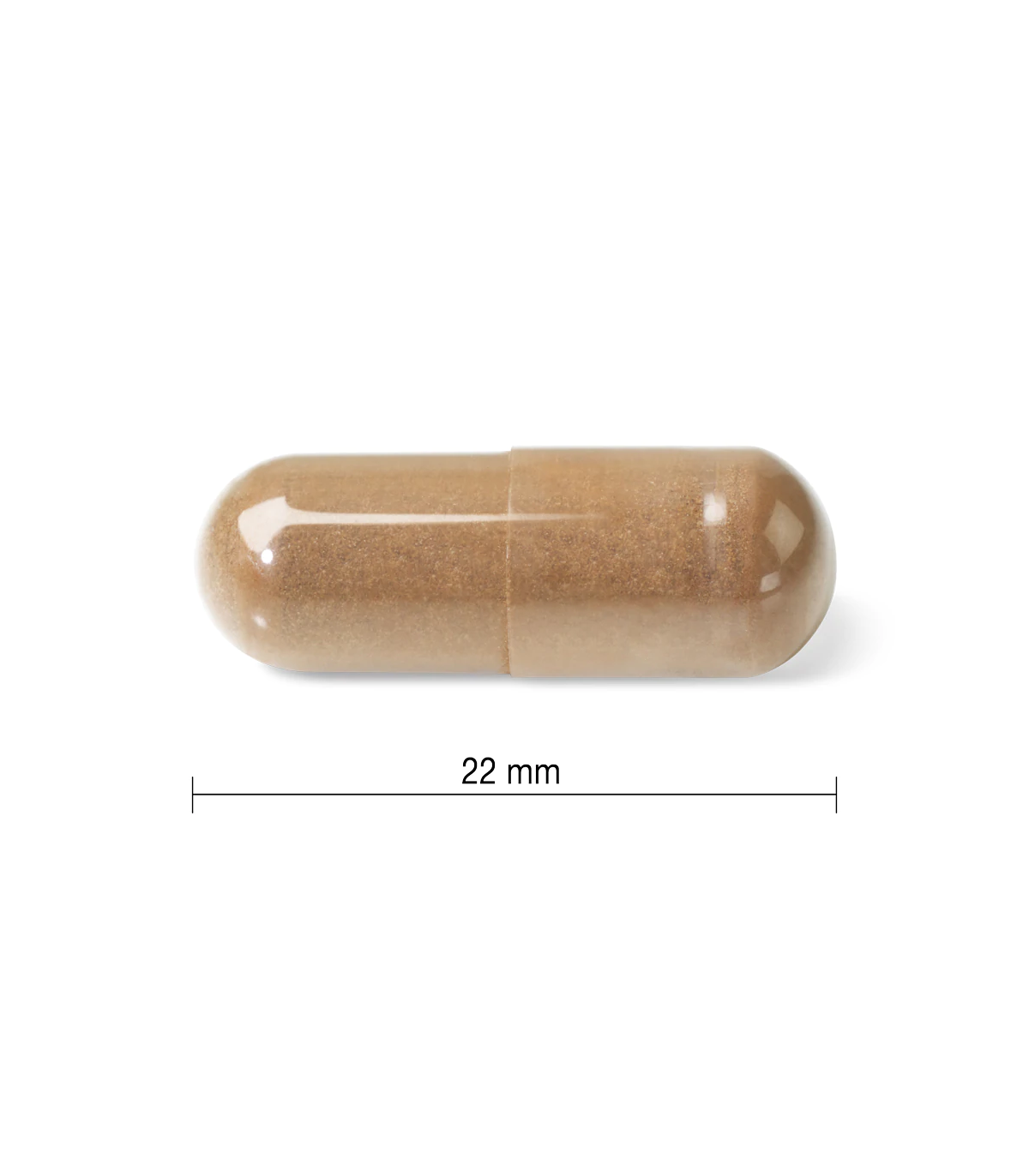 Jamieson Mushroom Complex 60 Caplets | 每天不同折扣, 全网最低价格 | 种类齐全的保健品店铺 VITASHOP, 只有你想不到, 没有你买不到 !