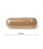 Jamieson Mushroom Complex 60 Caplets | 每天不同折扣, 全网最低价格 | 种类齐全的保健品店铺 VITASHOP, 只有你想不到, 没有你买不到 !