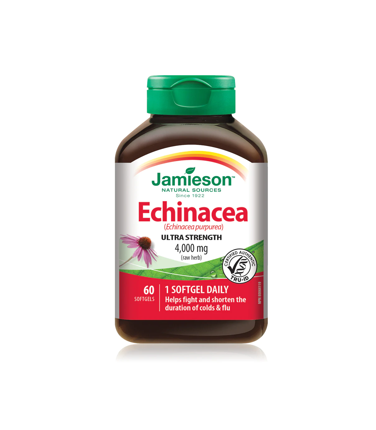 Jamieson Max Potency Echinacea 4,000 mg 60 Softgels | Unbeatable Prices, Daily Deals | VITASHOP