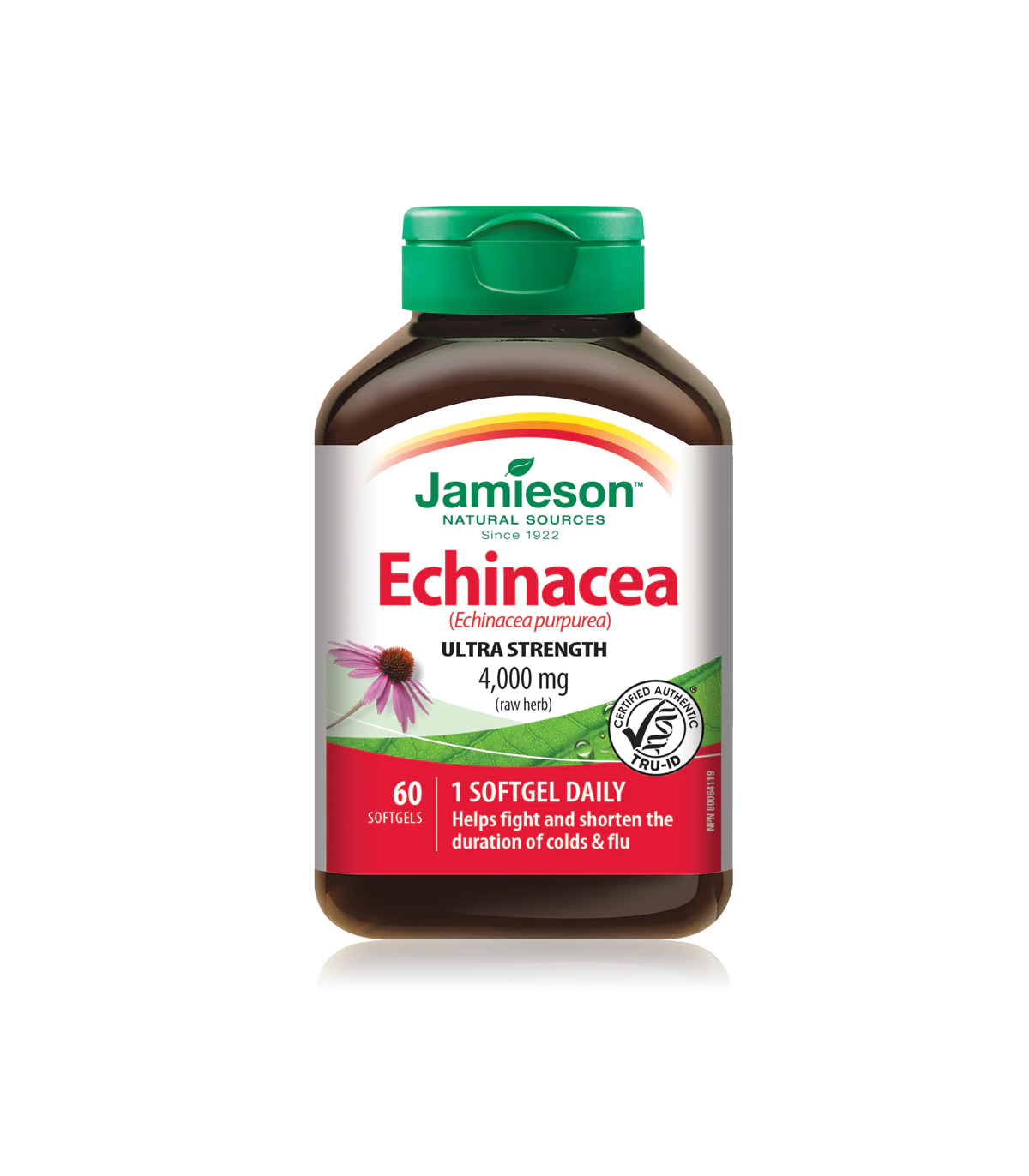 Jamieson Max Potency Echinacea 4,000 mg 60 Softgels | Unbeatable Prices, Daily Deals | VITASHOP