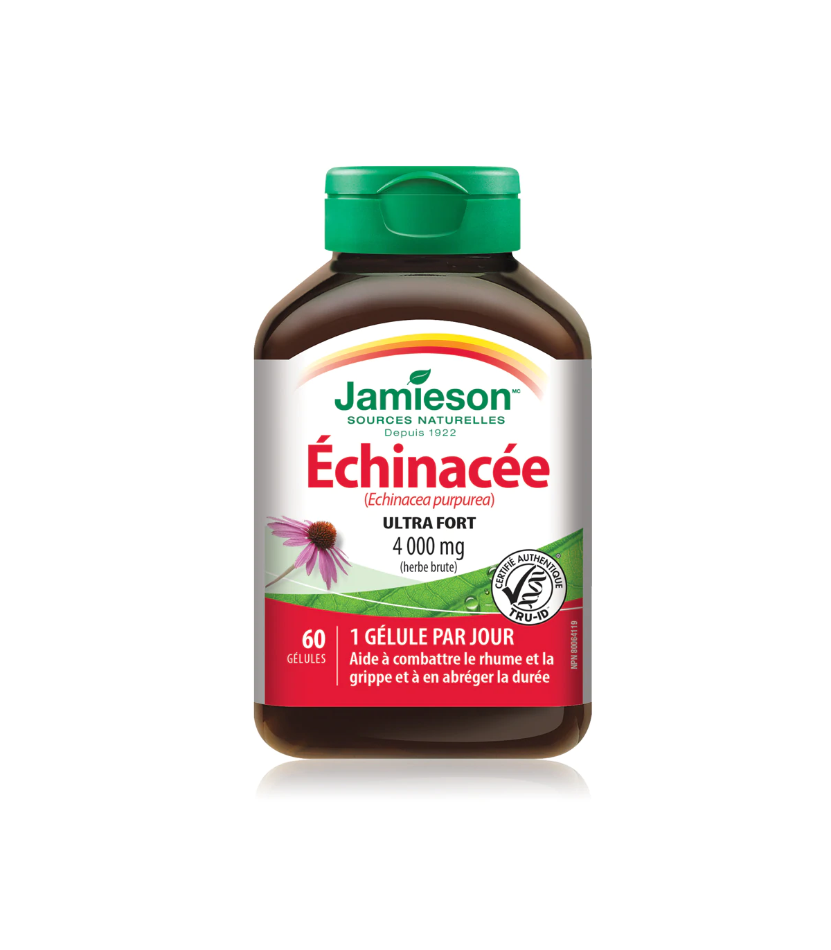 Jamieson Max Potency Echinacea 4,000 mg 60 Softgels | Unbeatable Prices, Daily Deals | VITASHOP