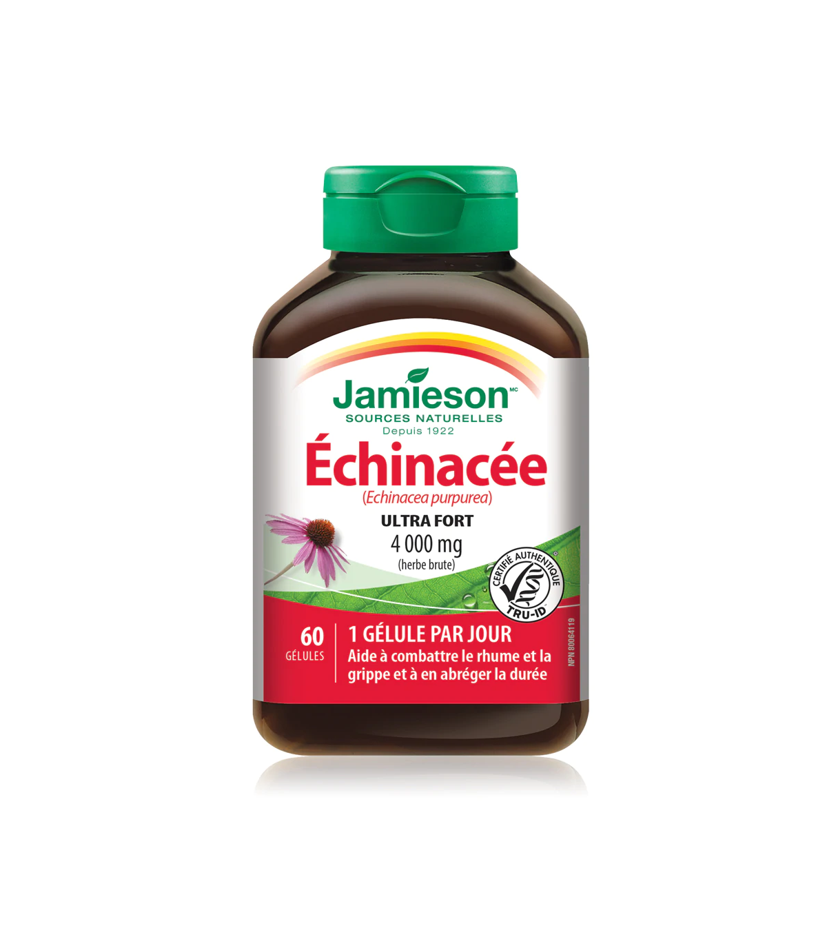 Jamieson Max Potency Echinacea 4,000 mg 60 Softgels | Unbeatable Prices, Daily Deals | VITASHOP