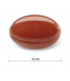 Jamieson 자미에슨 Lutein-Z X-Strength 20mg 30+15 소프트젤 | 매일 업데이트되는 특가 상품 | VITASHOP