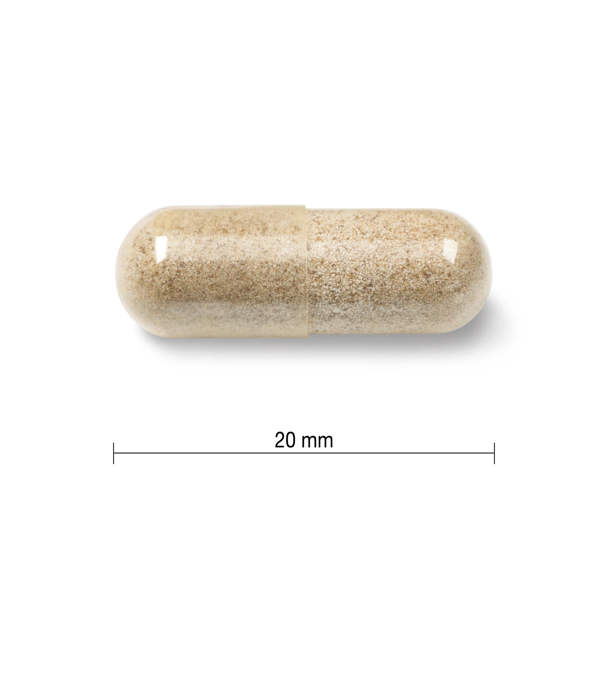 Jamieson Herbal Complex Relax & Sleep 60 Capsules | Unbeatable Prices, Daily Deals | VITASHOP