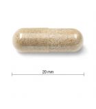 Jamieson Herbal Complex Relax & Sleep 60 Capsules | Unbeatable Prices, Daily Deals | VITASHOP