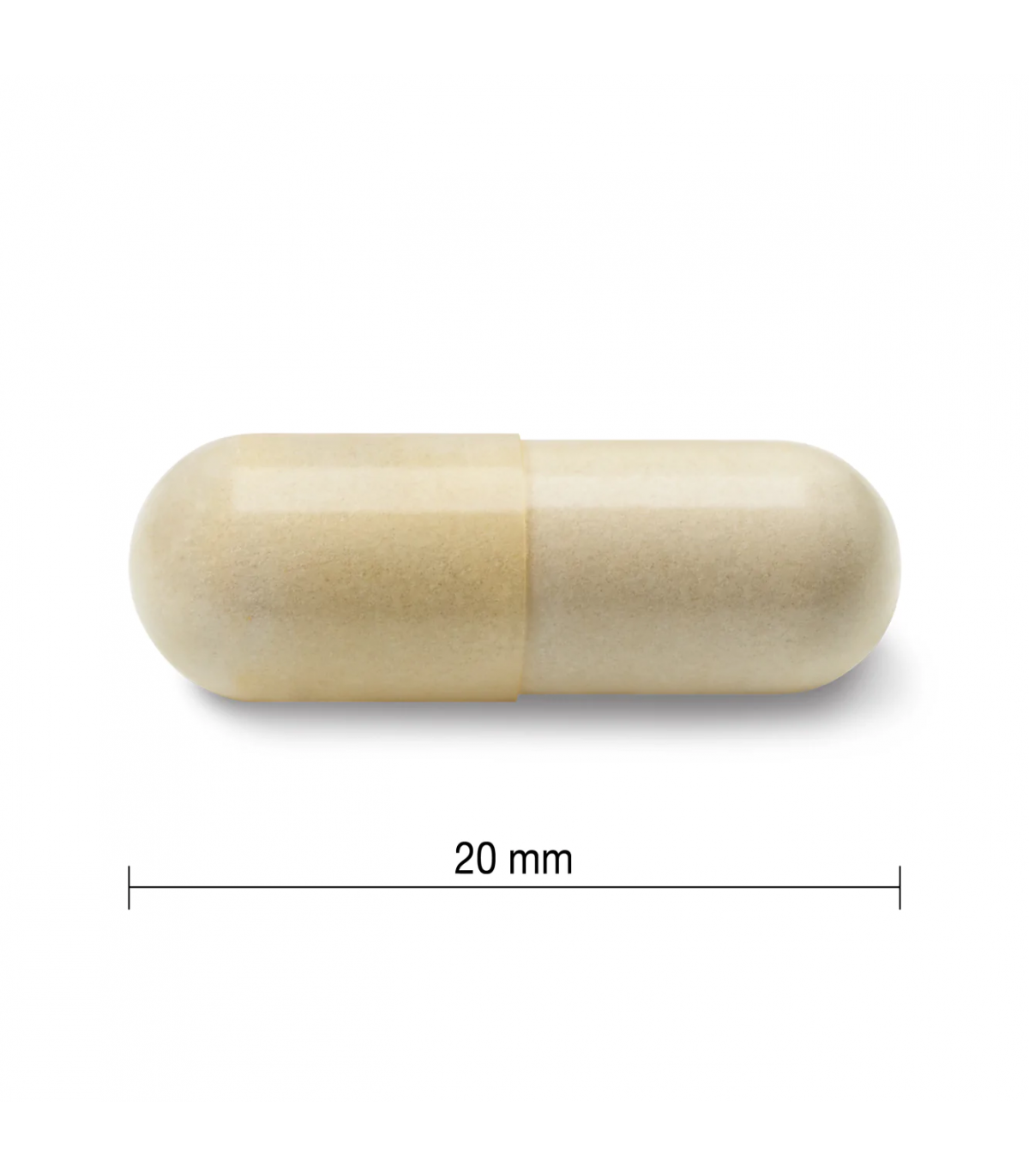 Glucosamine Sulfate 500 mg 360 Capsules | Safest & Easiest Shopping Vitamins Online | VITASHOP
