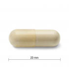 Glucosamine Sulfate 500 mg 360 Capsules | Safest & Easiest Shopping Vitamins Online | VITASHOP