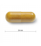 Jamieson Curcumin Turmeric 550 mg 90 Softgels | Unbeatable Prices, Daily Deals | VITASHOP