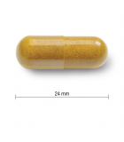 Jamieson 커큐민 터메릭 550mg 90 소프트젤 |무적의 가격, 매일 특가 |VITASHOP