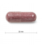 Cranberry Concentrate 500g 100 Capsules | Safest & Easiest Shopping Vitamins Online | VITASHOP