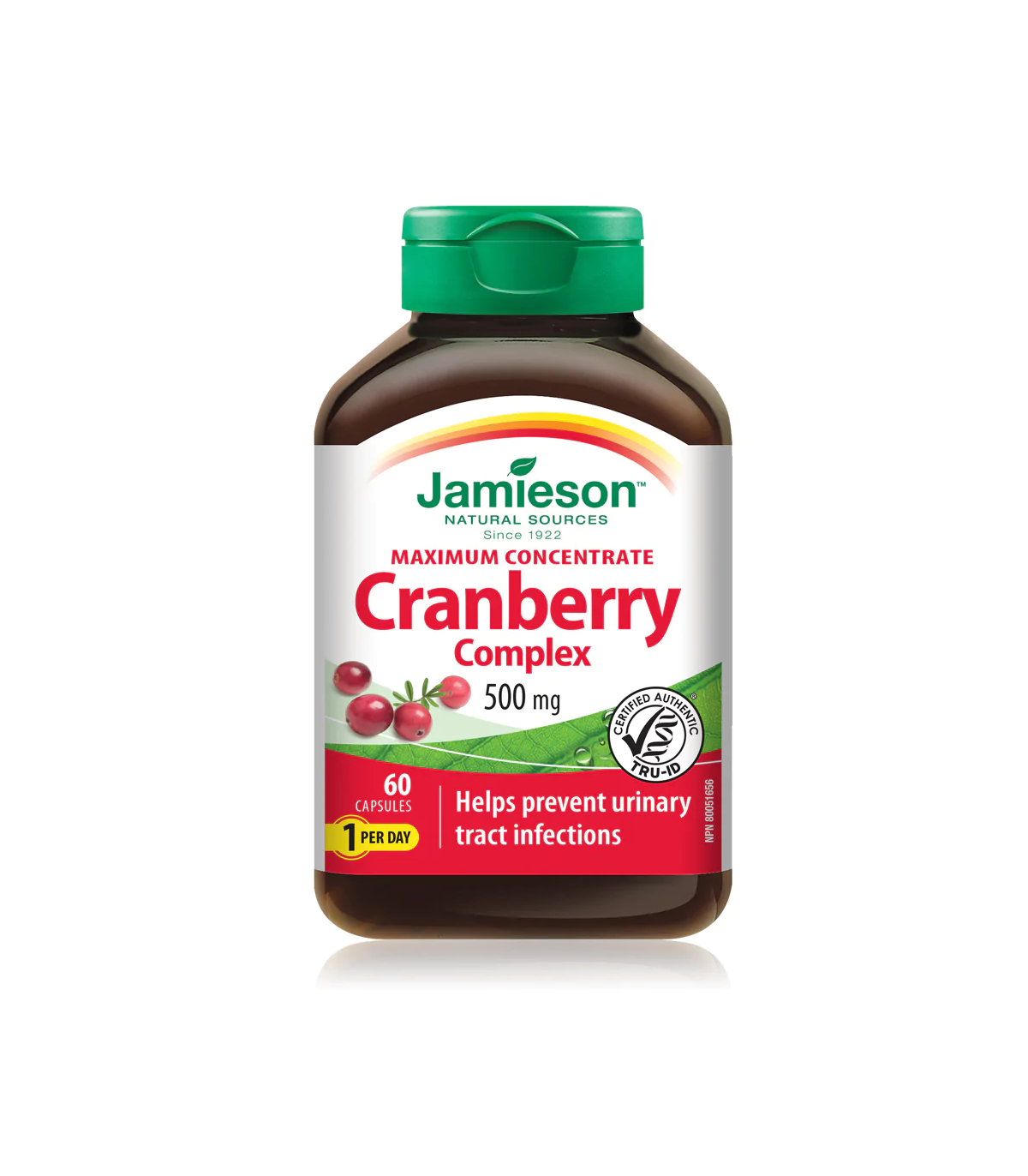 Jamieson Cranberry Concentrate 500 mg 60 Capsules | Unbeatable Prices, Daily Deals | VITASHOP