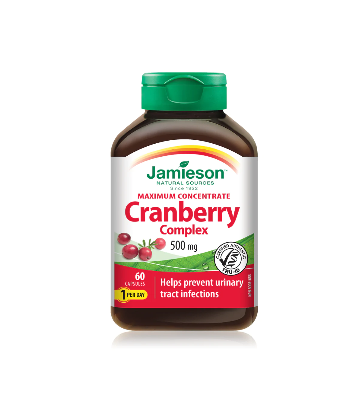 Jamieson Cranberry Concentrate 500 mg 60 Capsules | Unbeatable Prices, Daily Deals | VITASHOP