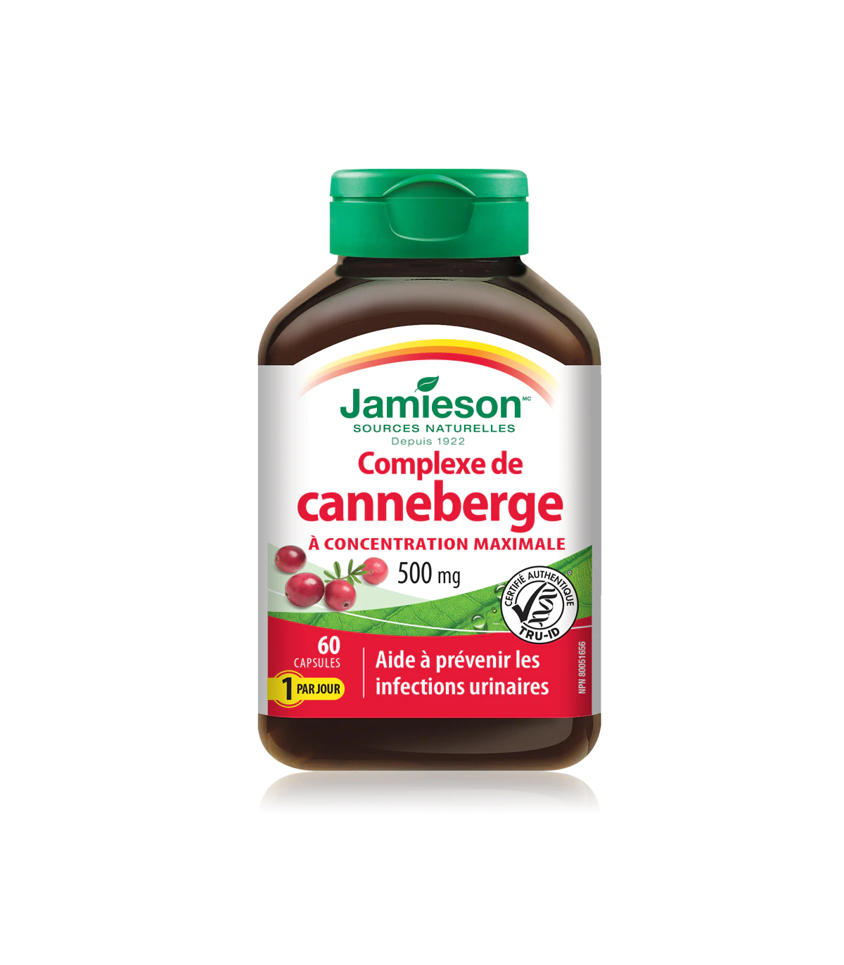 Jamieson Cranberry Concentrate 500 mg 60 Capsules | Unbeatable Prices, Daily Deals | VITASHOP