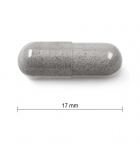 Jamieson Bilberry 2500 mg 60 Capsules | 每天不同折扣, 全网最低价格 | 种类齐全的保健品店铺 VITASHOP, 只有你想不到, 没有你买不到 !