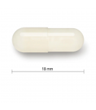 Jamieson Acidophilus Super Strain 90 Capsules | Unbeatable Prices, Daily Deals | VITASHOP