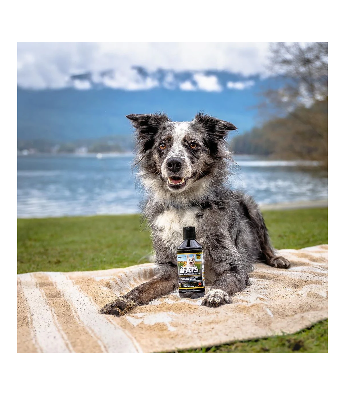 BiologicVET BioFATS Omega 3-6-9 Fatty Acid 946 mL | Unbeatable Prices, Daily Deals | VITASHOP