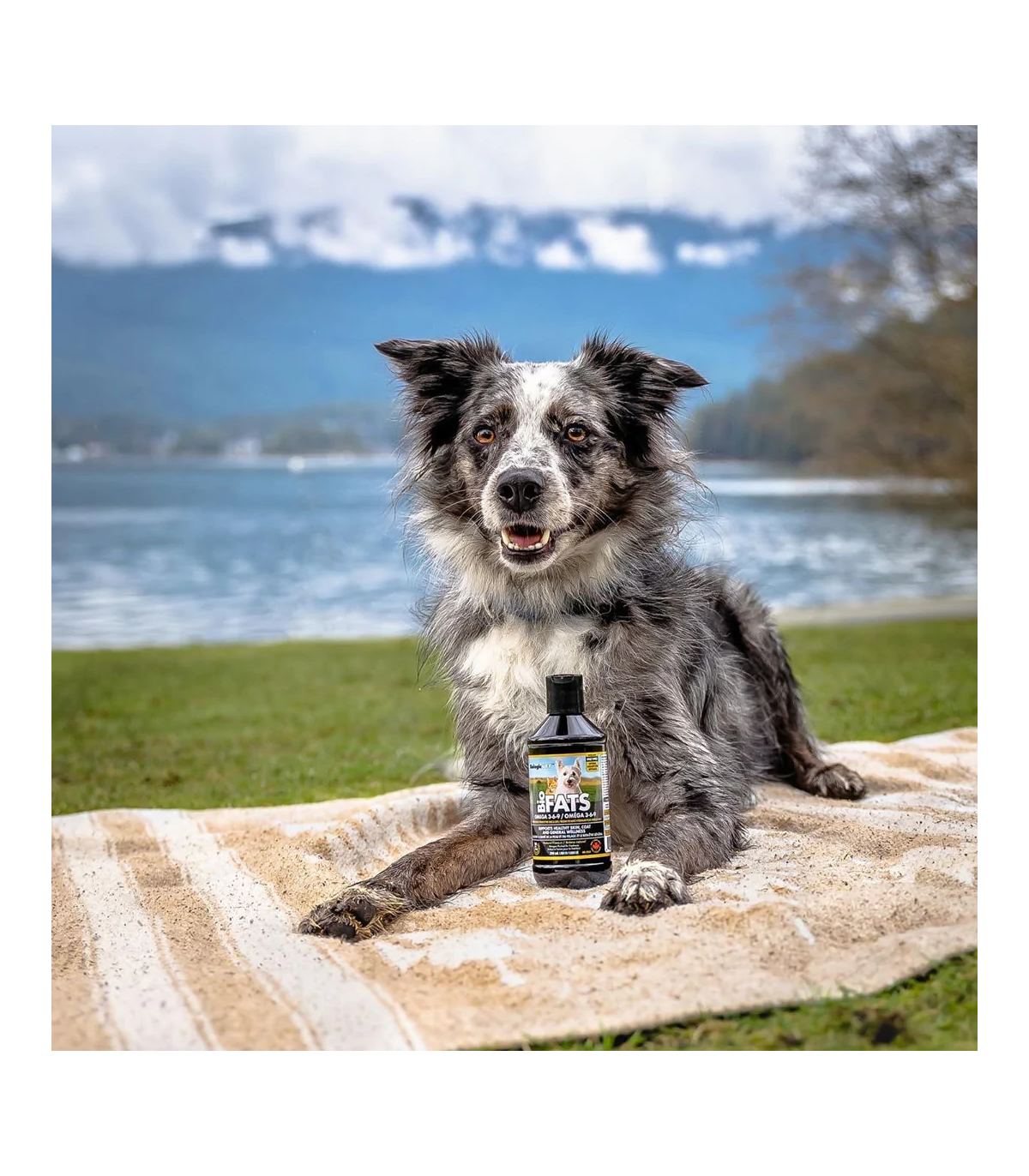 BiologicVET BioFATS Omega 3-6-9 Fatty Acid 200 mL | Unbeatable Prices, Daily Deals | VITASHOP