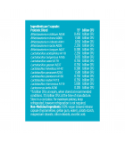 Advanced Gut Health Probiotic 15 Billion 60 Capsules | Safest & Easiest Shopping Vitamins Online | VITASHOP