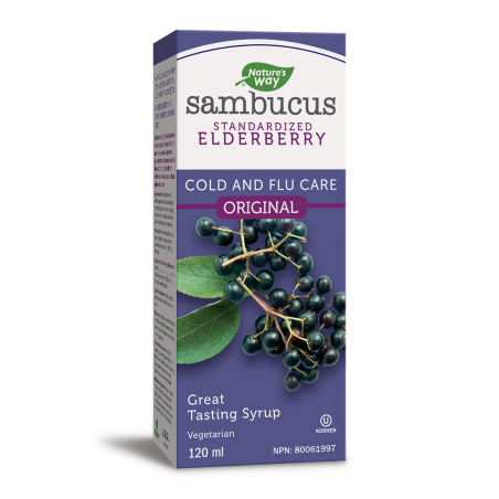 Nature's Way 네이처스 웨이 삼부커스 오리지널 엘더베리 시럽 120ml | 매일 업데이트되는 특가 상품 | VITASHOP