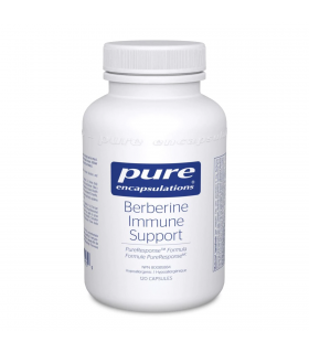 Pure Encapsulations 퓨어 인캡슐레이션 베르베린 면역 지원 120캡슐 | 매일 업데이트되는 특가 상품 | VITASHOP