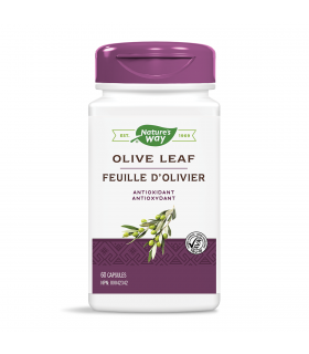Nature's Way 네이처스 웨이 올리브 잎 20% 60 식물성 캡슐 | 매일 업데이트되는 특가 상품 | VITASHOP