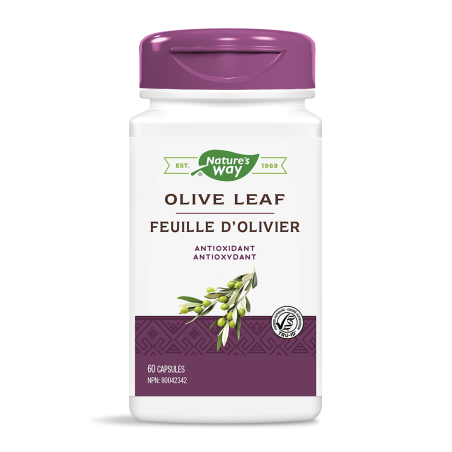 Olive Leaf 20% 60 Vegi Capsules | Safest & Easiest Shopping Vitamins Online | VITASHOP