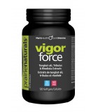 Vigor-Force Libido Endurance for Men 120 Softgels | Safest & Easiest Shopping Vitamins Online | VITASHOP