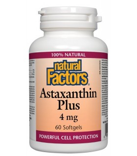 Natural Factors 내추럴 팩터스 아스타잔틴 플러스 4mg, 소프트젤 60정 | 매일 업데이트되는 특가 상품 | VITASHOP