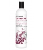 Collagen Care Shampoo 500 ml | Safest & Easiest Shopping Vitamins Online | VITASHOP