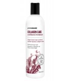 Prairie Naturals 프레리 내추럴스 콜라겐 케어 컨디셔너 350ml | 매일 업데이트되는 특가 상품 | VITASHOP