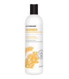 Prairie Naturals Goldenrod Volumizing Shampoo 500 ml | 每天不同折扣, 全网最低价格 | 种类齐全的保健品店铺 VITASHOP, 只有你想不到, 没有你买不到 !