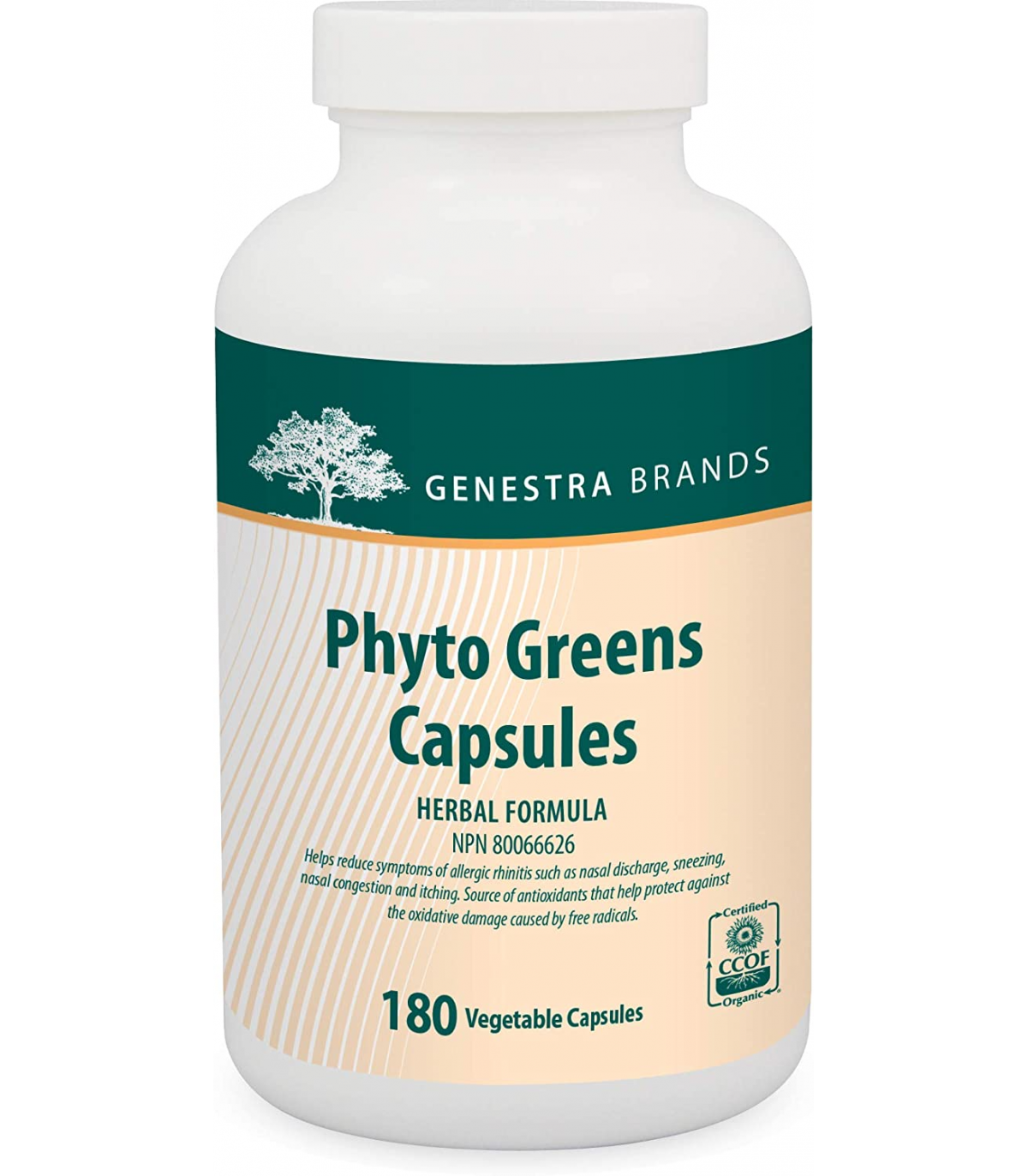 Genestra Phyto Greens  180 Capsules | Unbeatable Prices, Daily Deals | VITASHOP