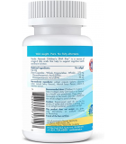 Nordic Naturals 노르딕 내추럴스 어린이 DHA, 라즈베리 Xtra 90 소프트젤 | 매일 업데이트되는 특가 상품 | VITASHOP