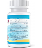 Nordic Naturals 노르딕 내추럴스 어린이 DHA, 라즈베리 Xtra 90 소프트젤 | 매일 업데이트되는 특가 상품 | VITASHOP