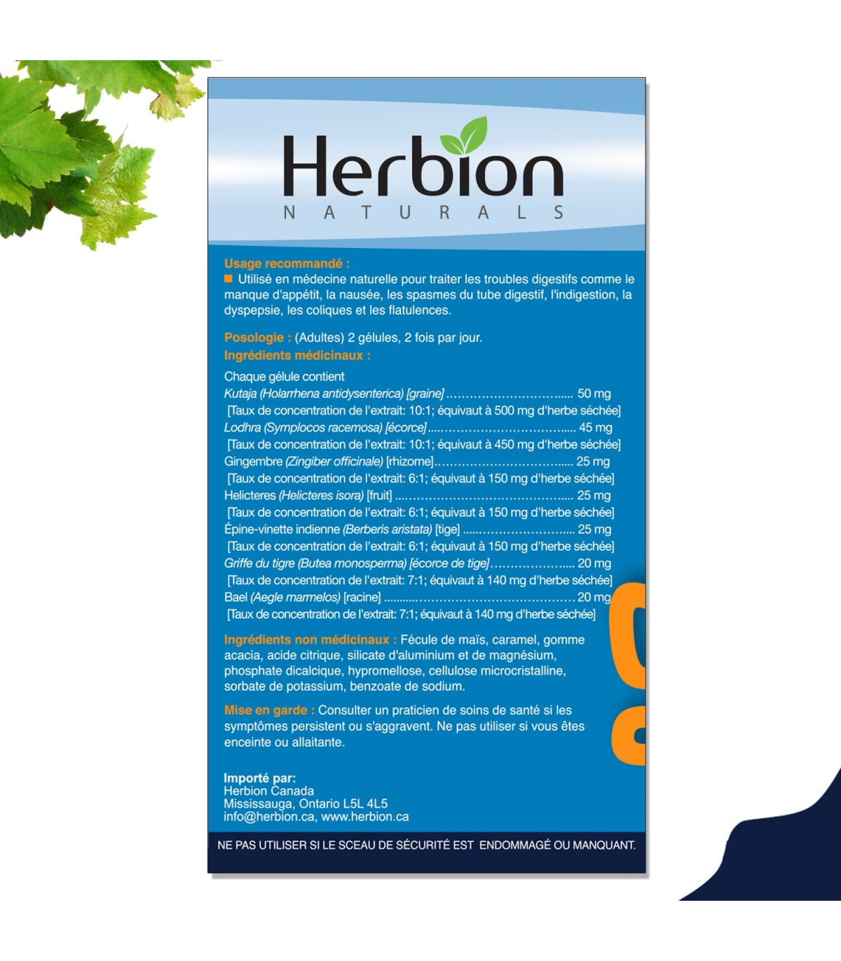 Herbion 허바이온 위장 지원 베지 캡슐 20정 | 매일 업데이트되는 특가 상품 | VITASHOP
