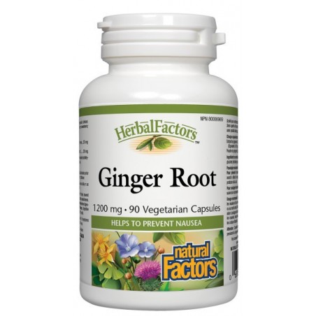 Natural Factors 내추럴 팩터스 HerbalFactors 생강 뿌리 1200mg, 식물성 캡슐 90정 | 매일 업데이트되는 특가 상품 | VITASHOP