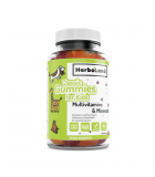 HerbaLand Classic Gummy For Kids Multi 60 Gummies | 每天不同折扣, 全网最低价格 | 种类齐全的保健品店铺 VITASHOP, 只有你想不到, 没有你买不到 !