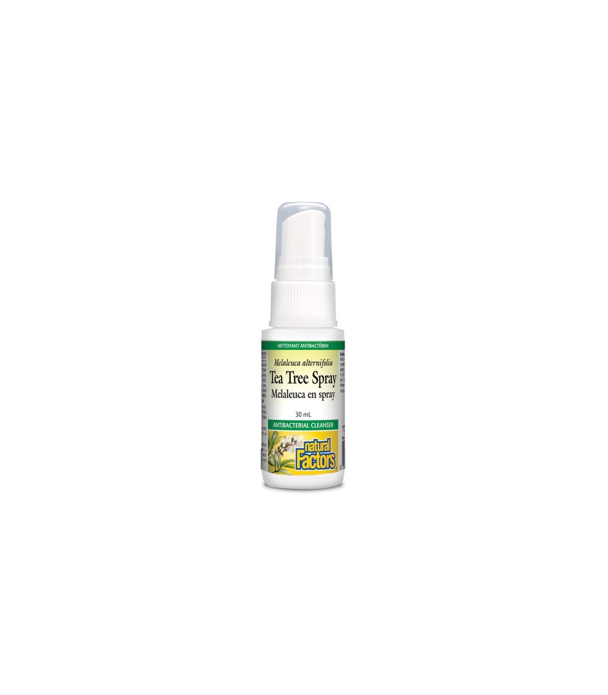 Natural Factors 내추럴 팩터스 티트리 스프레이 30mL | 매일 업데이트되는 특가 상품 | VITASHOP